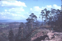 Stormy Point